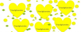 Los AceiteS de Oliva Vírgenes por dentro