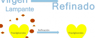 ¿Qué es el Aceite de Oliva Refinado?