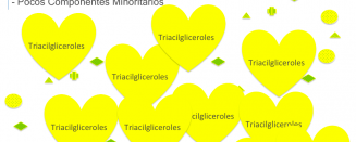 ¿Qué es el Aceite de Oliva ?