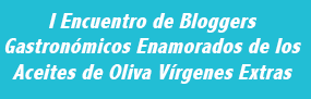 Cartel I Encuentro Bloggers